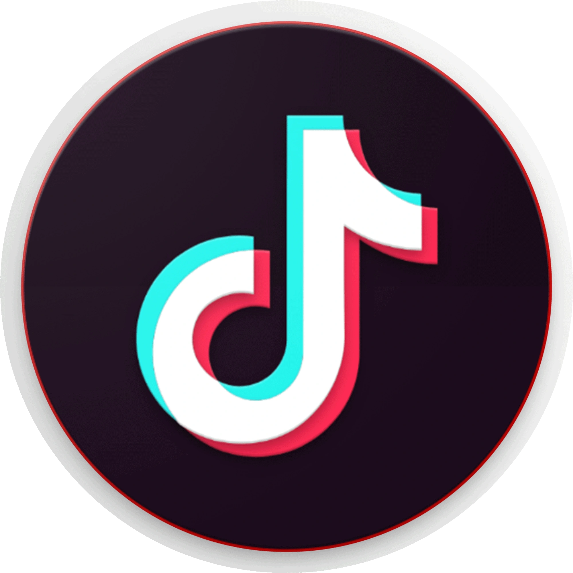 Descargador de videos de TikTok